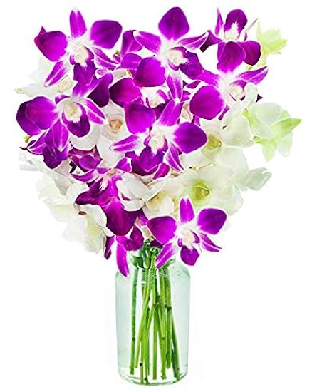 DELIVERY by Tue, 02/20 Guaranteed IF Order Placed by 02/19 Before 2PM EST. KaBloom Valentine´s PRIME NEXT DAY DELIVERY - Bouquet of 10 Blau Orchid with Vase For Gift for Valentine, Mother’s Day 695830515