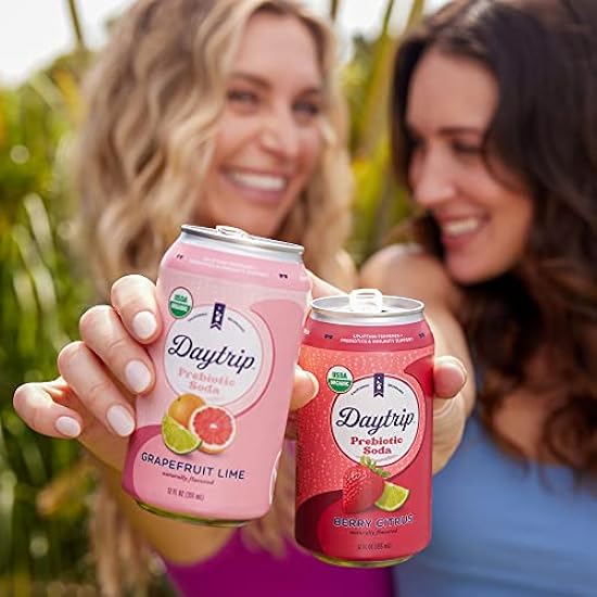 Daytrip Sparkling Prebiotic Soda Flavor | Fiber Enriched Low Calorie & Low Sugar Soft Drinks | Getränke with Gut Health & Immunity Benefits - Mood Boosting & Stress Reducing Properties | All Natural USDA ORGANIC 12oz (12 Pack)(Berry Citrus) 989464791