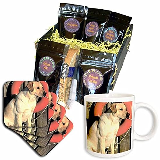 3dRose Dogs Labrador Retriever - Yellow Labrador Lab - 