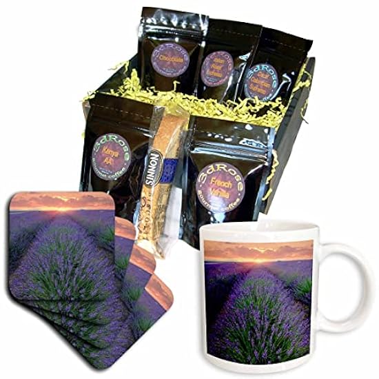 3dRose France, Provence, Valensole. Sunrise on lavender field. - Kaffee Gift Baskets (cgb-366449-1) 730823615
