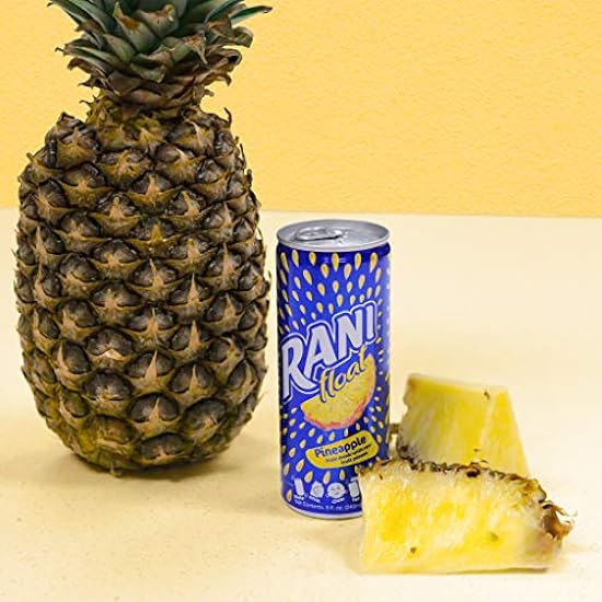 Rani Float Fruchtsaft Drink, Pineapple,Imported from Dubai, Made with Real Fruit Pieces, Low Sugar 8 oz, Pack of 24 79316251