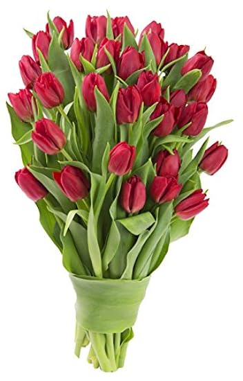 DELIVERY by Thu, 02/15 Guaranteed IF Order Placed by 02/14 Before 2PM EST. Blooms2Door Valentine´s PRIME OVERNIGHT DELIVERY - 30 Rot Tulips. Gift for Valentine, Mother’s Day Flowers 152224933