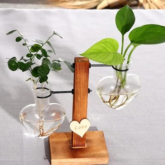 Elegance in Bloom: Glass and Wood Vase Planter for Hydr