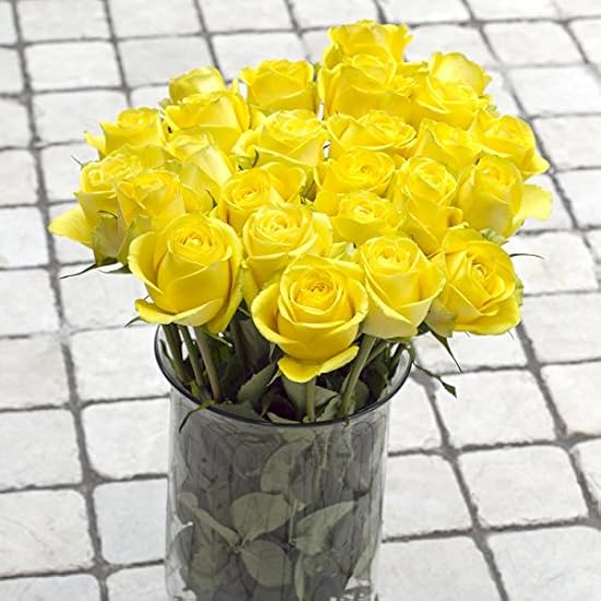 Grünchoice Flowers, 50 Fresh cut Yellow Roses, 20´