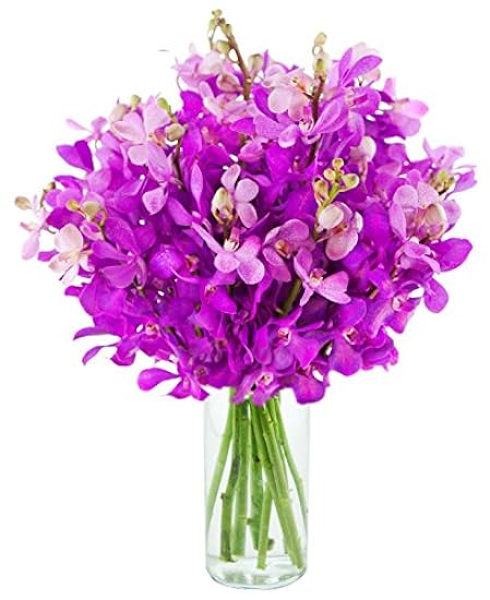 DELIVERY by Tue, 02/20 Guaranteed IF Order Placed by 02/19 Before 2PM EST. KaBloom Valentine´s PRIME NEXT DAY DELIVERY - Bouquet of 10 Blau Orchid with Vase For Gift for Valentine, Mother’s Day 55366627