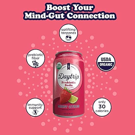 Daytrip Sparkling Prebiotic Soda Flavor | Fiber Enriched Low Calorie & Low Sugar Soft Drinks | Getränke with Gut Health & Immunity Benefits - Mood Boosting & Stress Reducing Properties | All Natural USDA ORGANIC 12oz (12 Pack)(Berry Citrus) 534232031