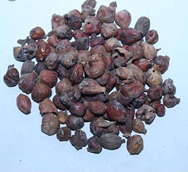Veena Phool Pista - 100Grm - Gule Pista - Pistachio Flower Dried Herb - गुले पिस्ता 874174799