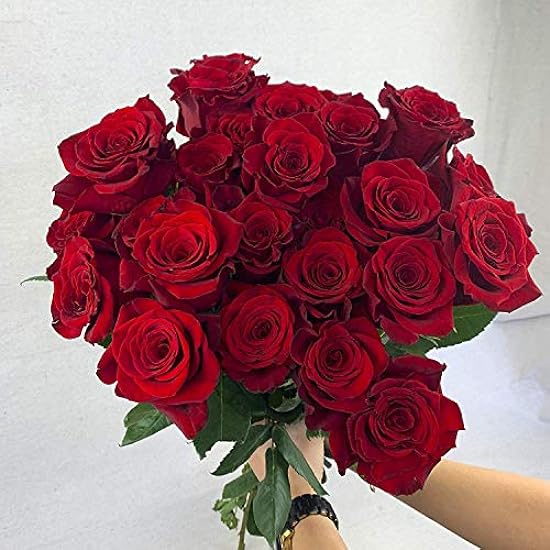 Grünchoice Flowers - 50 Stems of Premium Rot Fresh Rose