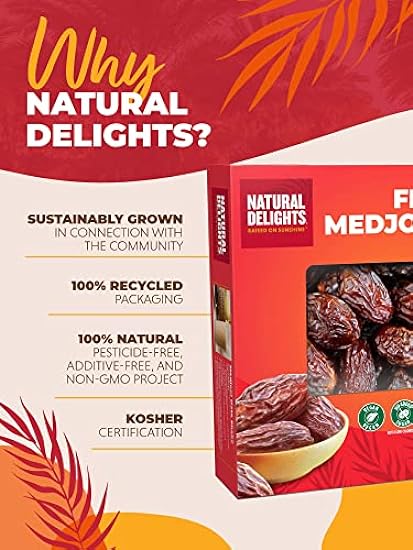 Natural Delights Medjool Dates – Large & Plump Whole Dates Medjool, Non-GMO Verified, Good Source of Fiber, Naturally Sweet Fruit Snack, Perfect for On-the-Go - Medjool Dates Whole, 11 lb Box 933982294