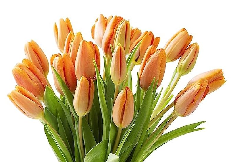 KaBloom PRIME NEXT DAY DELIVERY : Valentine´s Day Collection - Bouquet of 10 Orange Tulips with Vase Gift for Birthday, Sympathy, Anniversary, Get Well, Thank You, Valentine, Mother’s Day Flowers 267044858