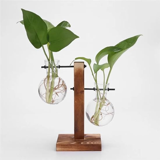 Elegance in Bloom: Glass and Wood Vase Planter for Hydr