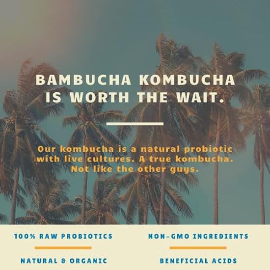 Bambucha Kombucha Thai Ginger 12 Pack Case | Chef Crafted Flavor, 100% Raw Kombucha Tee Drink | Organic, Vegan, Gluten Free, Non GMO, Probiotic (12 Fl Oz Cans) 393238618