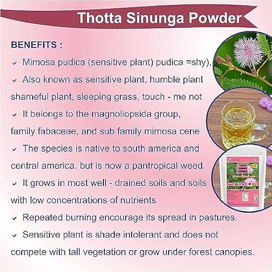 Nutranix TNA Thotta Sinungi Mimosa Pudica Powder, 50 G (Pack of 10) 50525128