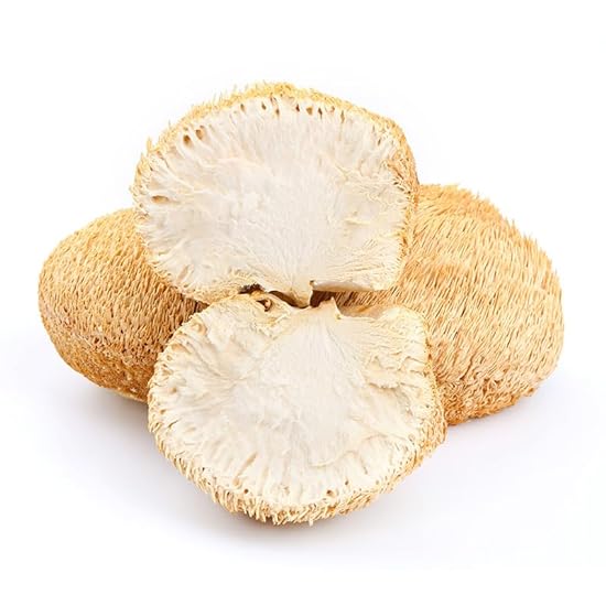 Zercumm Monkey Head Mushroom 250G Dry Goods Northeast Wild Monkey Head Mushroom Mushroom Sulfur-Free Soup Ingredients 589718928