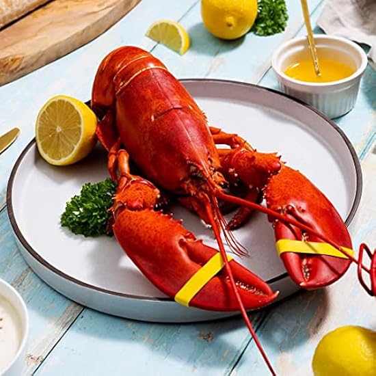 Maine Lobster Now: 6 Pack of 1.5 lb Live Maine Lobster 165411274