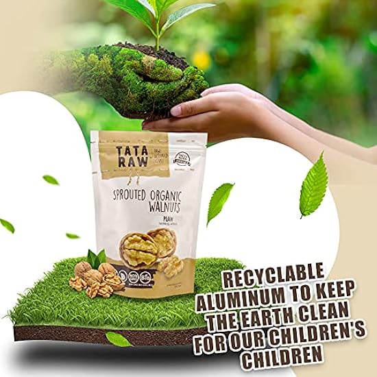 TATA RAW - Sprouted Organic Walnuts - PLAIN. Nothing Added - 3 lb 154559229