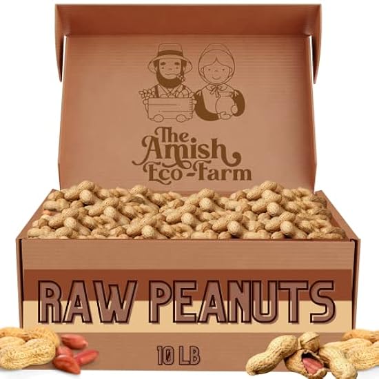 THE AMISH ECO-FARM | Fancy Size | Bulk Raw Peanuts in Shell, Virginia Grown | Unsalted Peanuts | Boiled Peanuts | Squirrels and Birds Feed. (10lb) 577851464