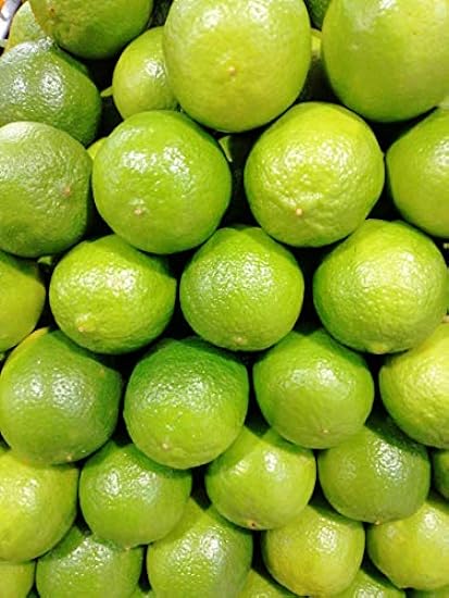 Kejora Fresh Seedless Persian Limes - 5 lb 181722628