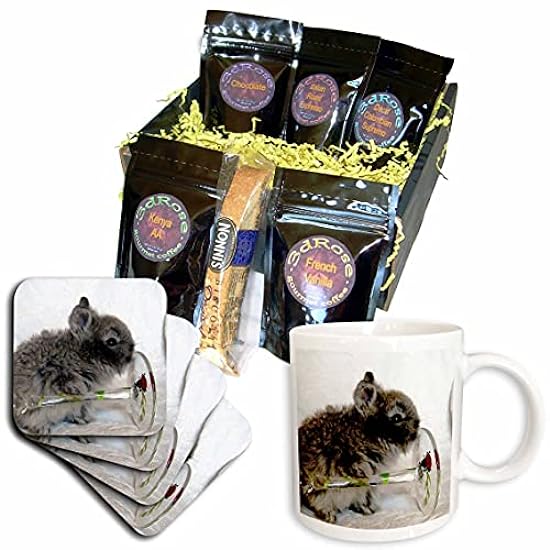 3dRose Lionhead Bunny and Wine Glass Kaffee Gift Basket