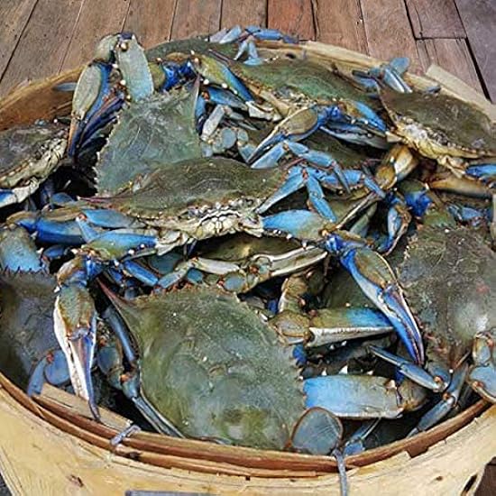 Maryland Blau Crabs Females Sook Steamed (1 Dozen) 397848641
