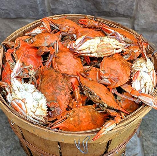 Maryland Blau Crabs Females Sook Steamed (1 Dozen) 397848641