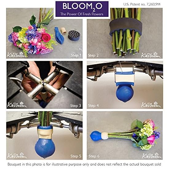 DELIVERY by Tue, 02/20 Guaranteed IF Order Placed by 02/19 Before 2PM EST. KaBloom Valentine´s PRIME NEXT DAY DELIVERY - Bouquet of Blau and Purple Orchids Gift for Valentine, Mother’s Day Flowers 948431940