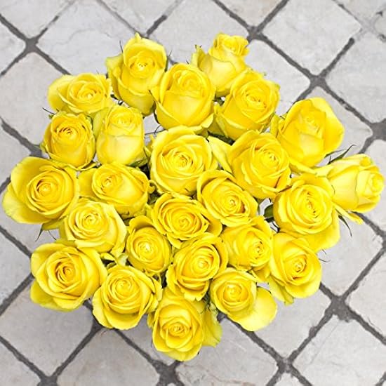 Grünchoice Flowers, 50 Fresh cut Yellow Roses, 20´´ long stem, No vase 70523647